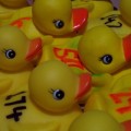July 4th RUBBER DUCK RACE!